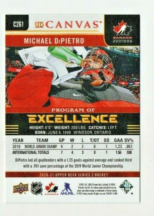 2020-21 Upper Deck Canvas PROGRAM OF EXCELLENCE Michael DiPietro #261 