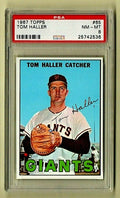 1967 Topps #65 -- Tom Haller  -  Catcher  San Francisco Giants PSA 8 - NM/MT