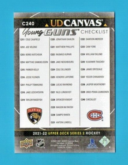 CHECKLIST 2021-22 UpperDeck Series 2  Young Guns Canvas BLACK  SSP #C240