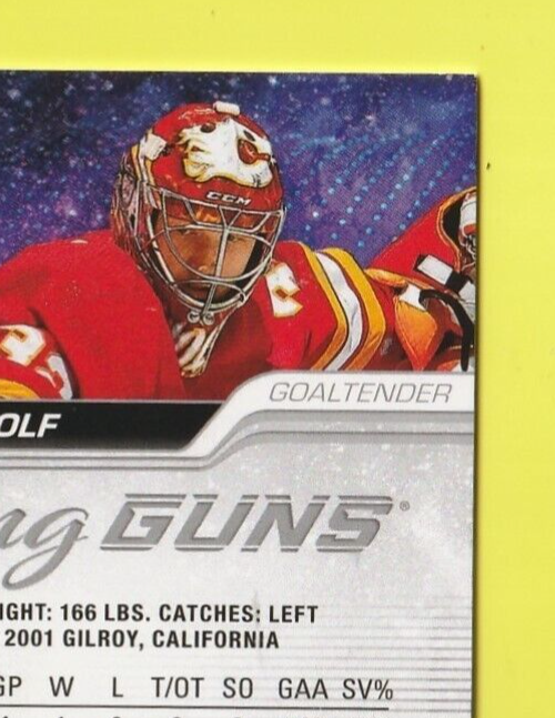 2023-24 Upper Deck Young Guns Deluxe #210 Dustin Wolf 210 /250 - Calgary Flames
