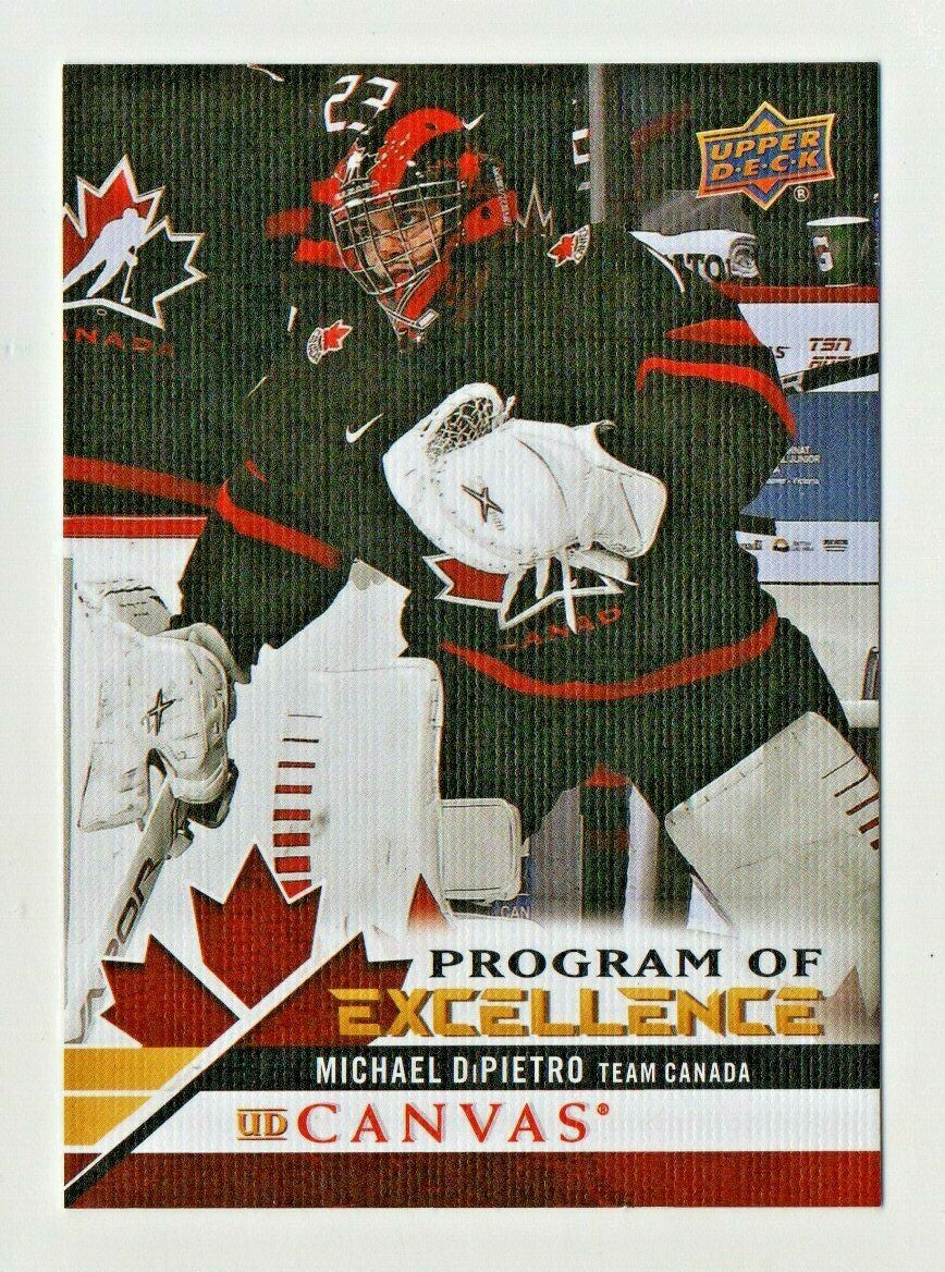 2020-21 Upper Deck Canvas PROGRAM OF EXCELLENCE Michael DiPietro #261 